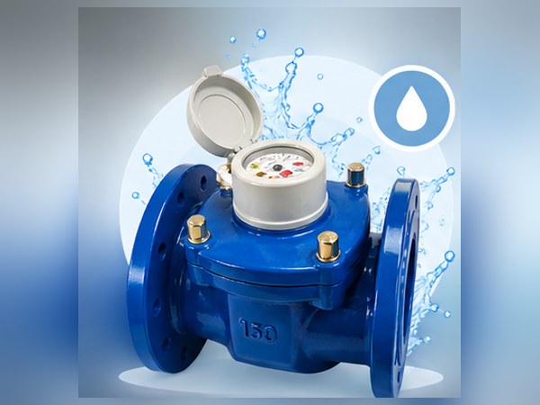 A flanged mechanical bulk water meter in blue cast housing